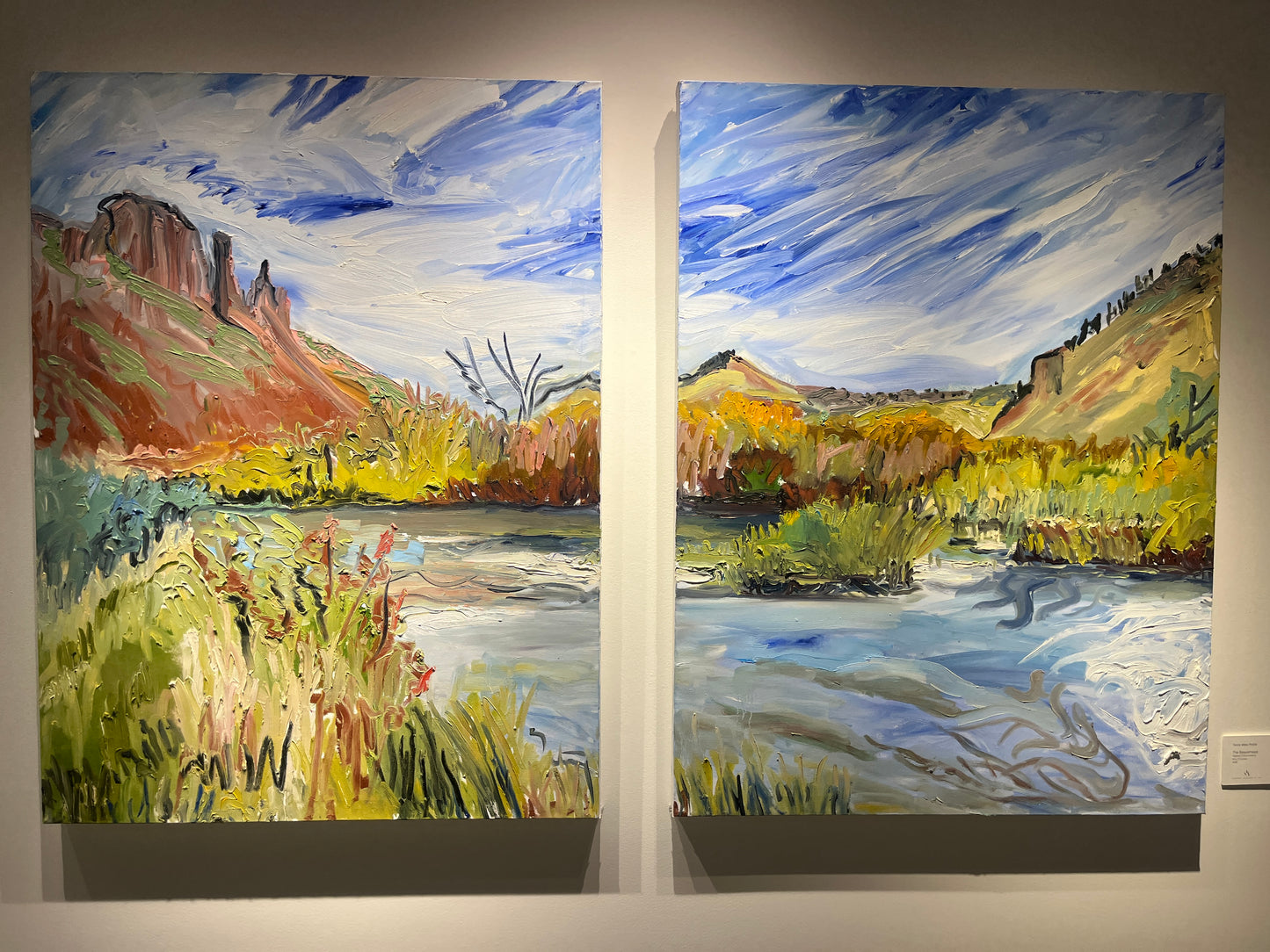 TandyR- 'The Beaverhead' Diptych- 48 x 72-