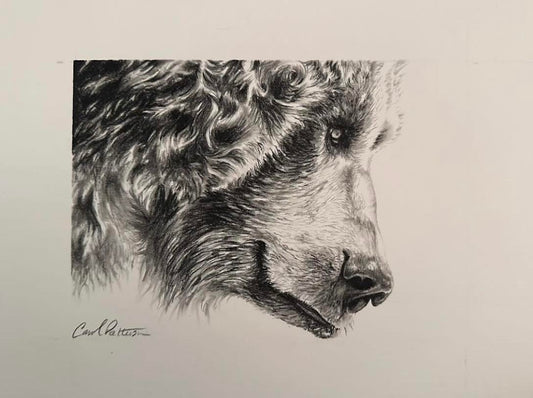 CarolP-Original Graphite-  "Big Griz, Small Portrait" 13x11