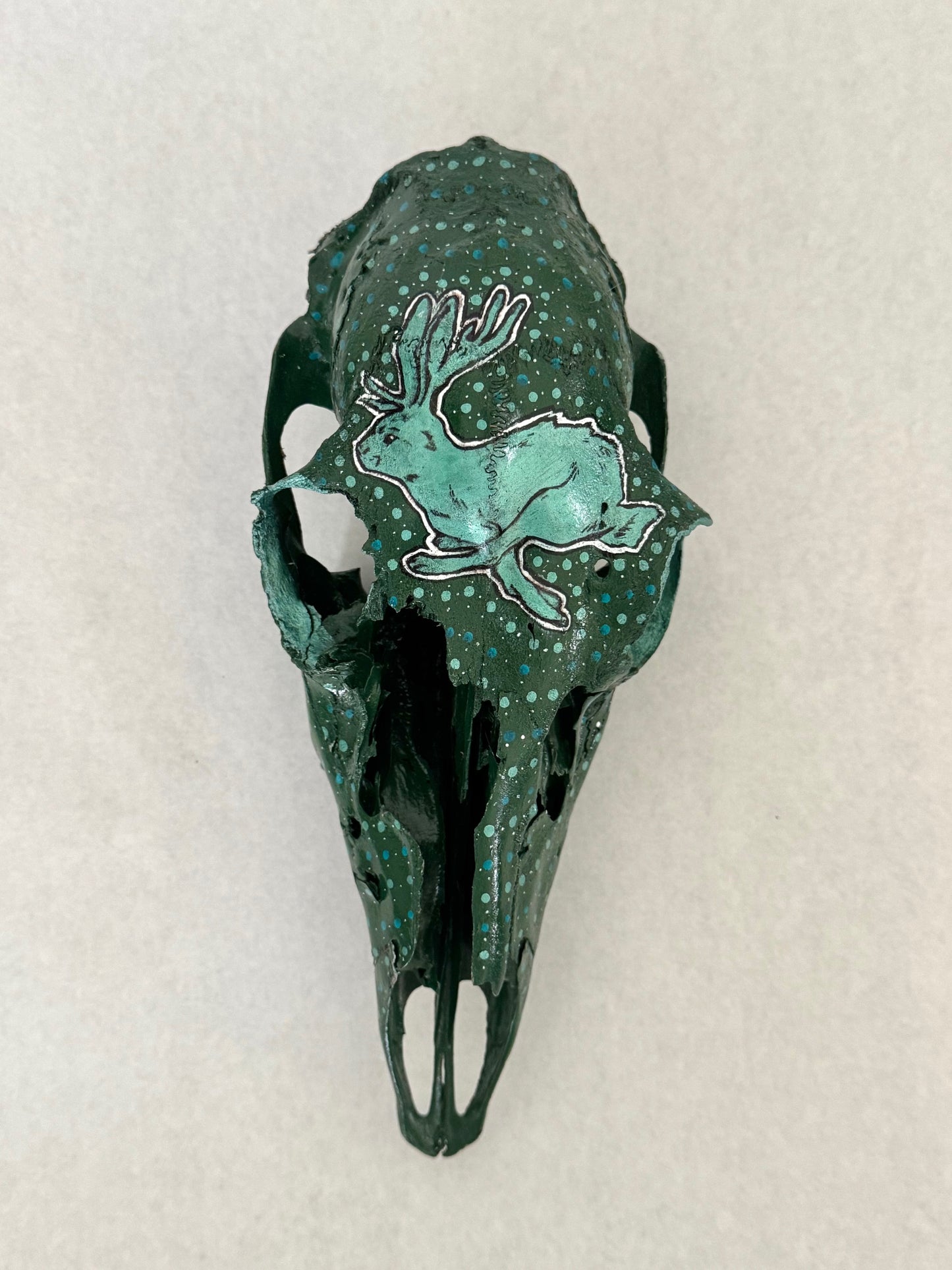 CathyB- DeerSkull- Jackalope