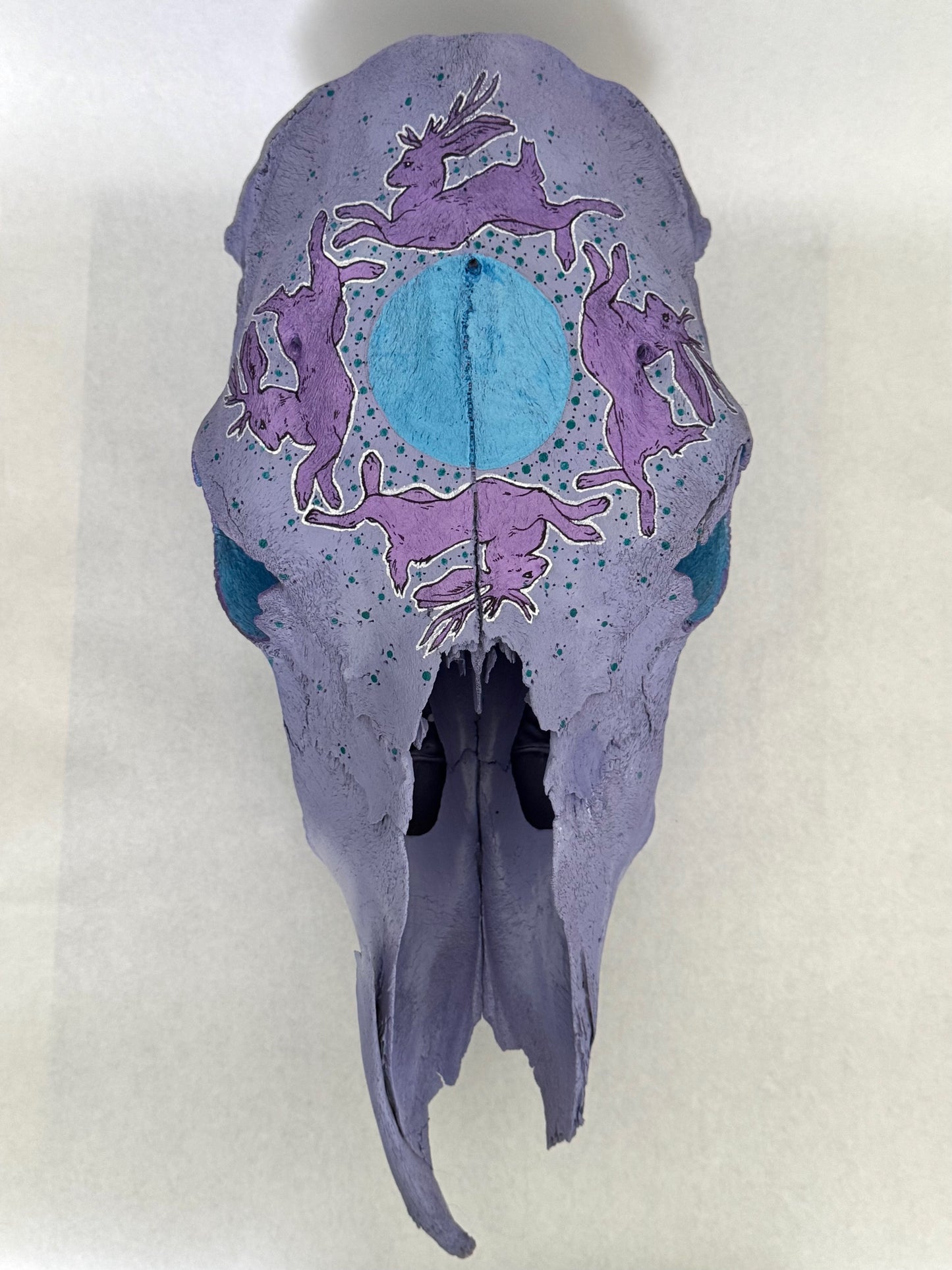 CathyB- CowSkull- Jackalope Dreaming