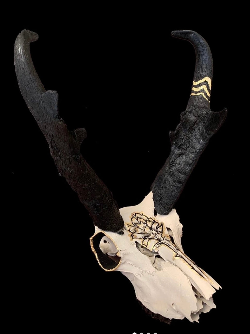 CathyB - Skull