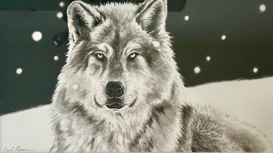 CarolP-Original Graphite "Wolf Awake 1" 11x18
