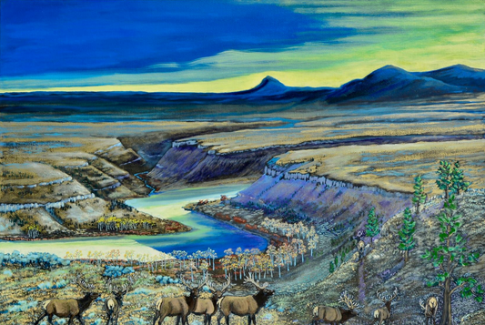 TomT- "Where the Wild Bulls Go When They Go Away"