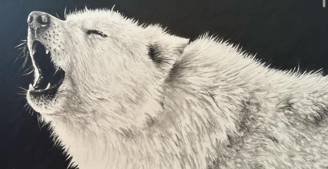 CarolP-Original Graphite