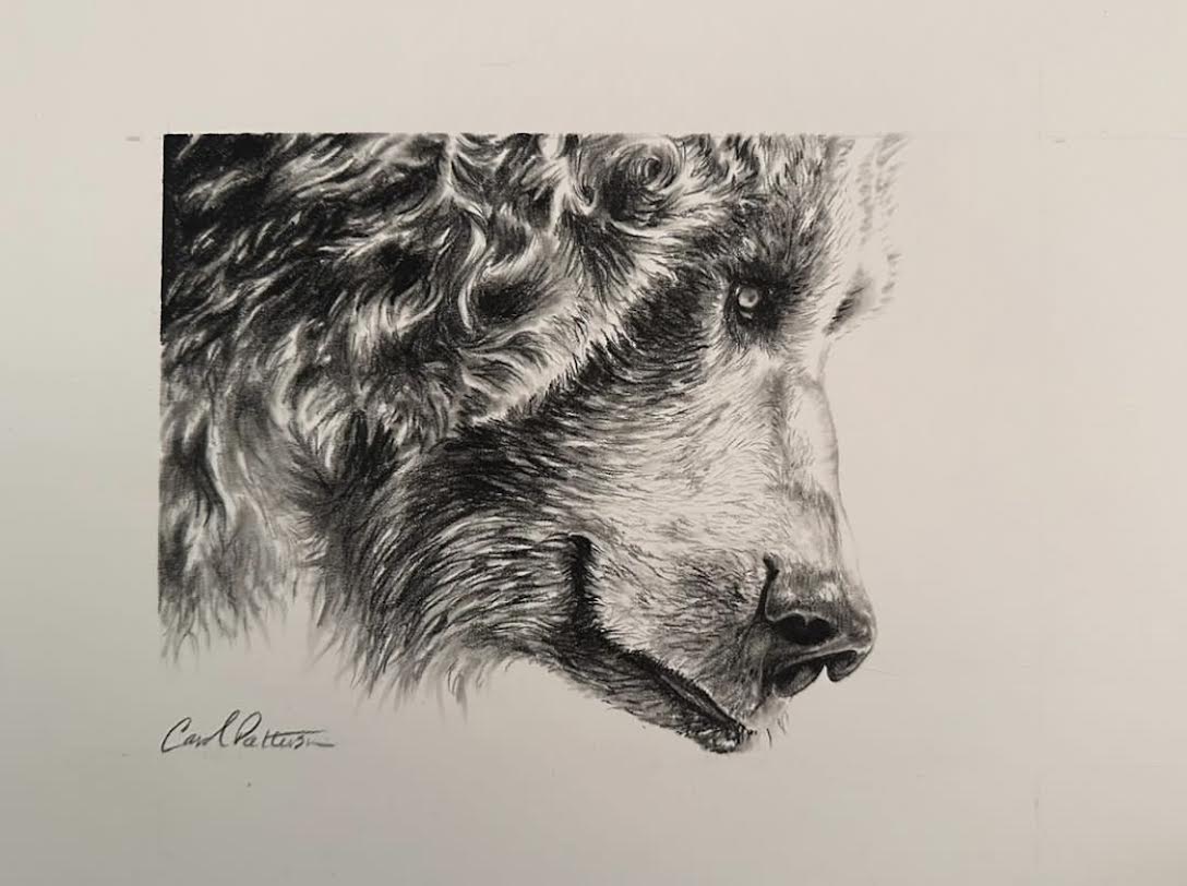 CarolP-Original Graphite