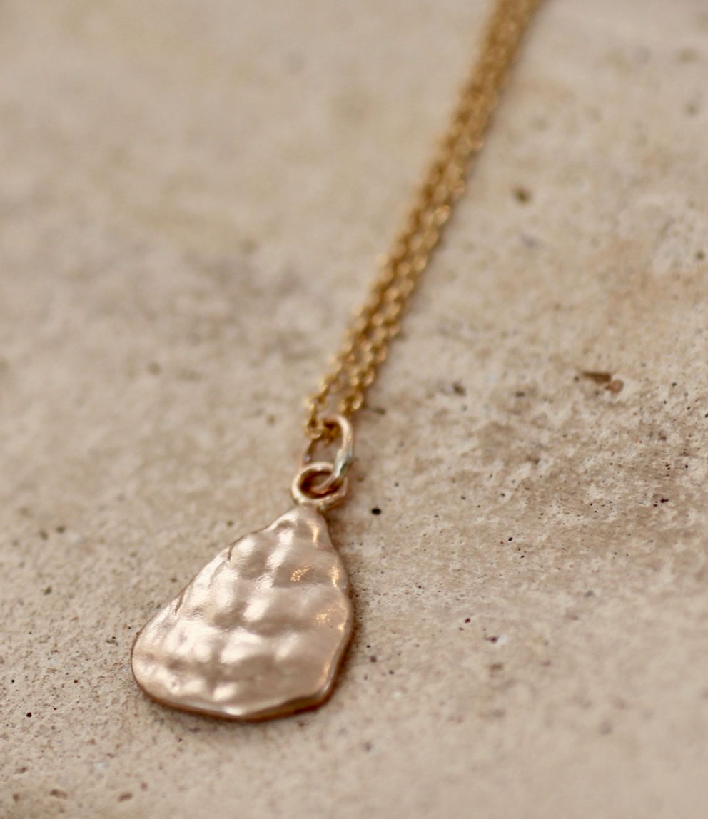 Indian Paintbrush- Neck- Seashell- Bronze- Gold Fill Chain- N1170