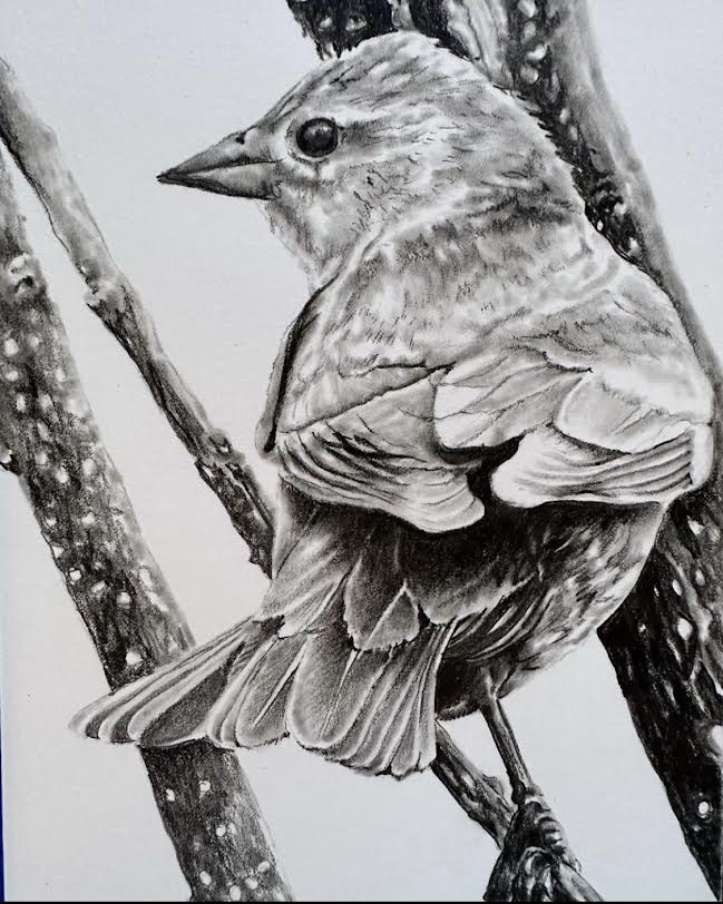 CarolP-Original Graphite