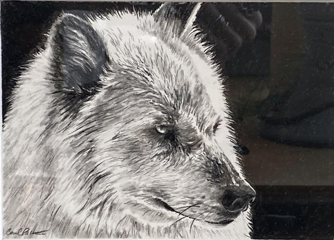 CarolP-Original Graphite