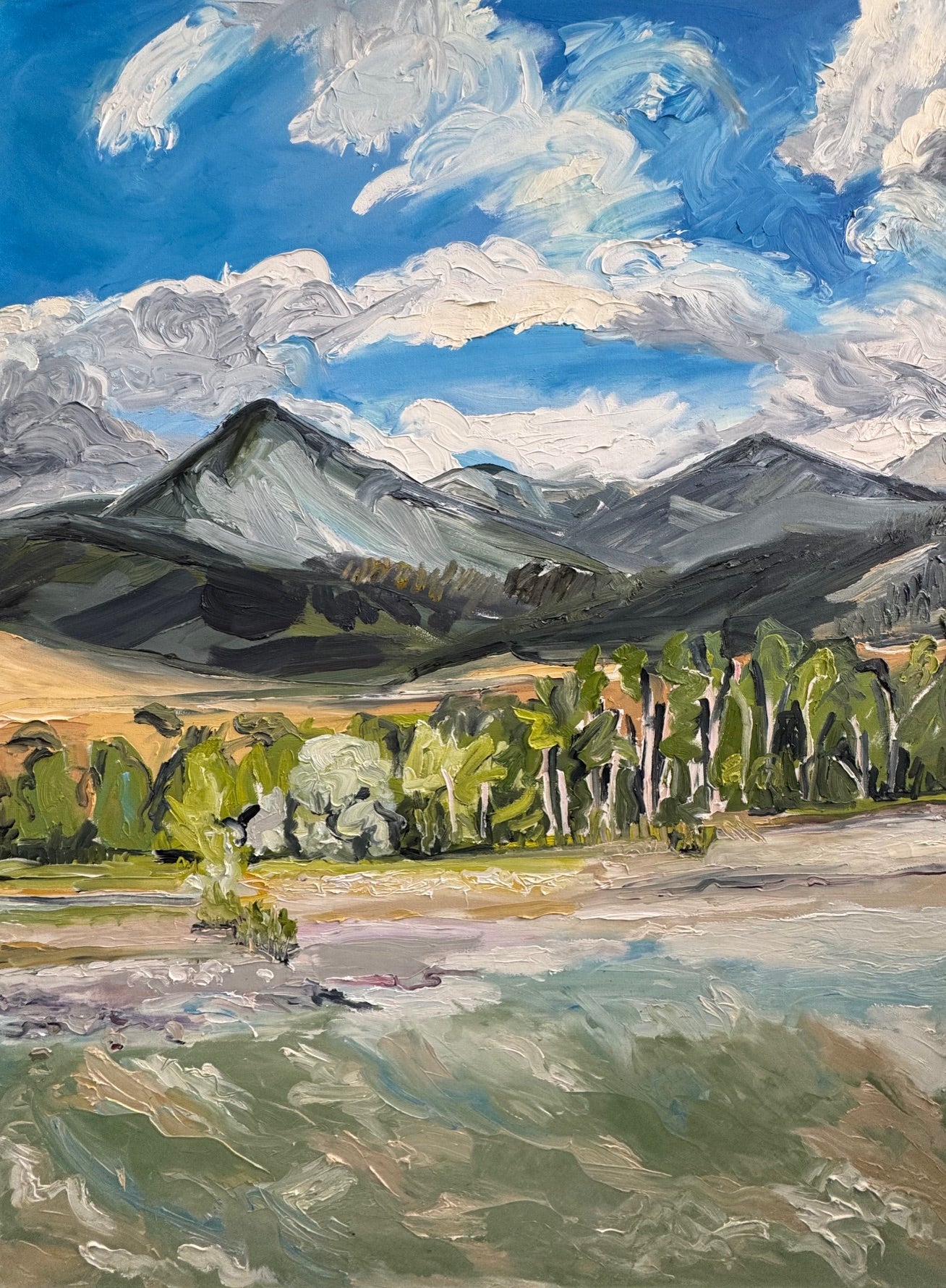 'Yellowstone River: 9th St Island' 48x36"