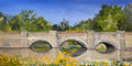 'Bridge at Sacajawea' 18x36"