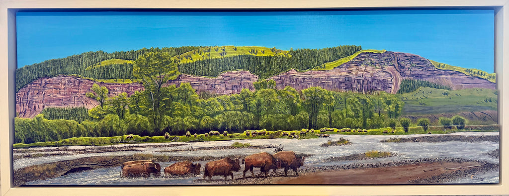 'Bison Crossing the Soda Butte' Framed  41x16"
