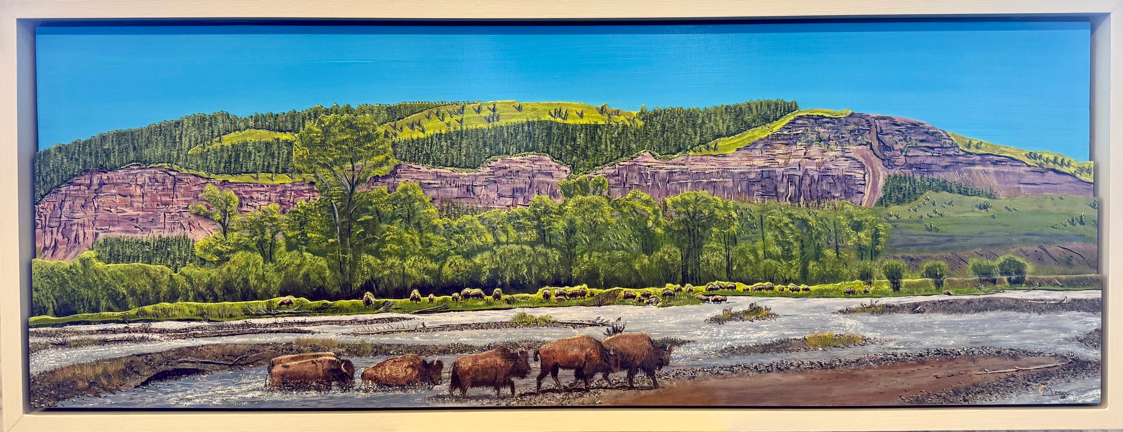 'Bison Crossing the Soda Butte' Framed  41x16"