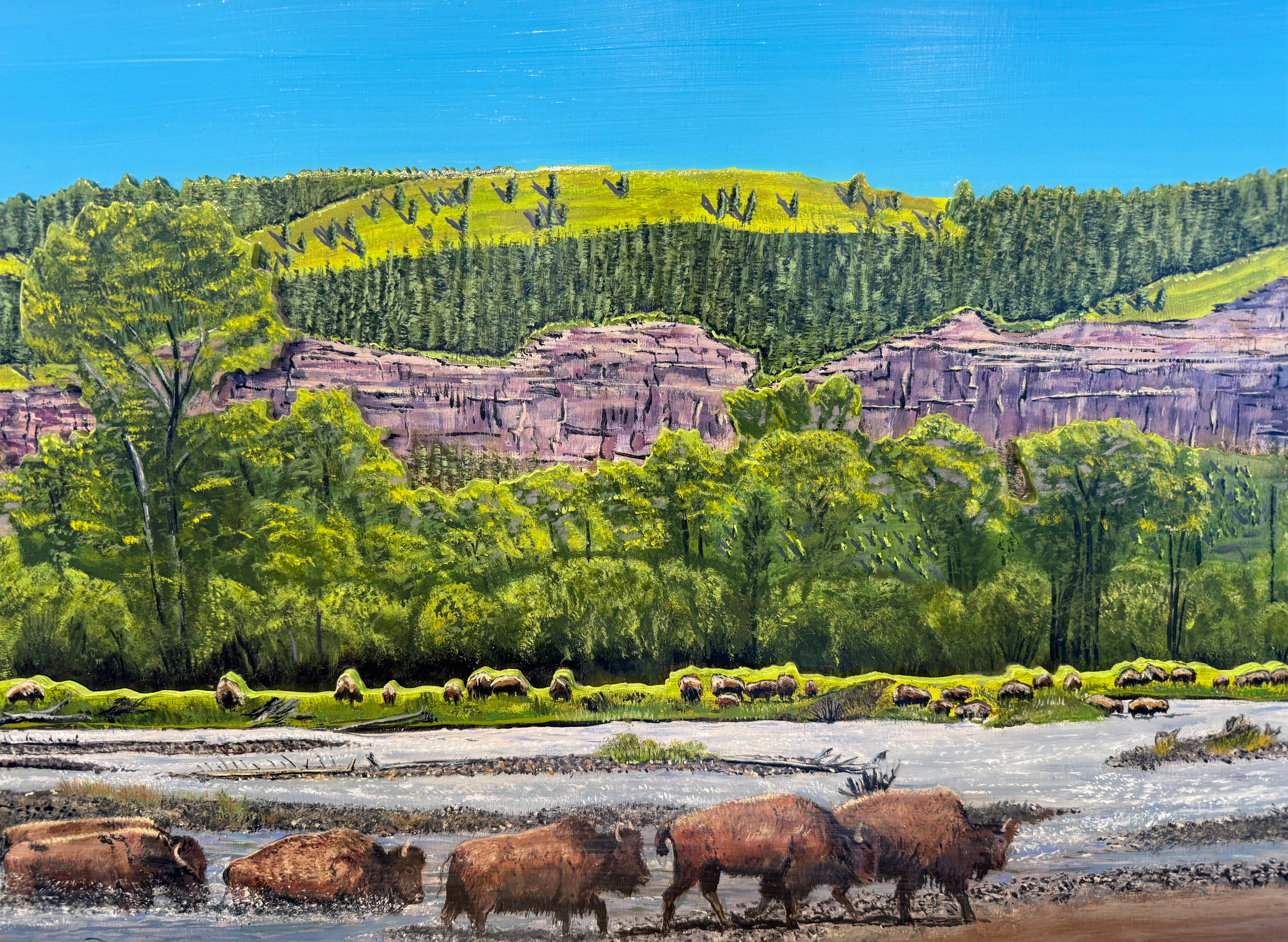 'Bison Crossing the Soda Butte' Framed  41x16"