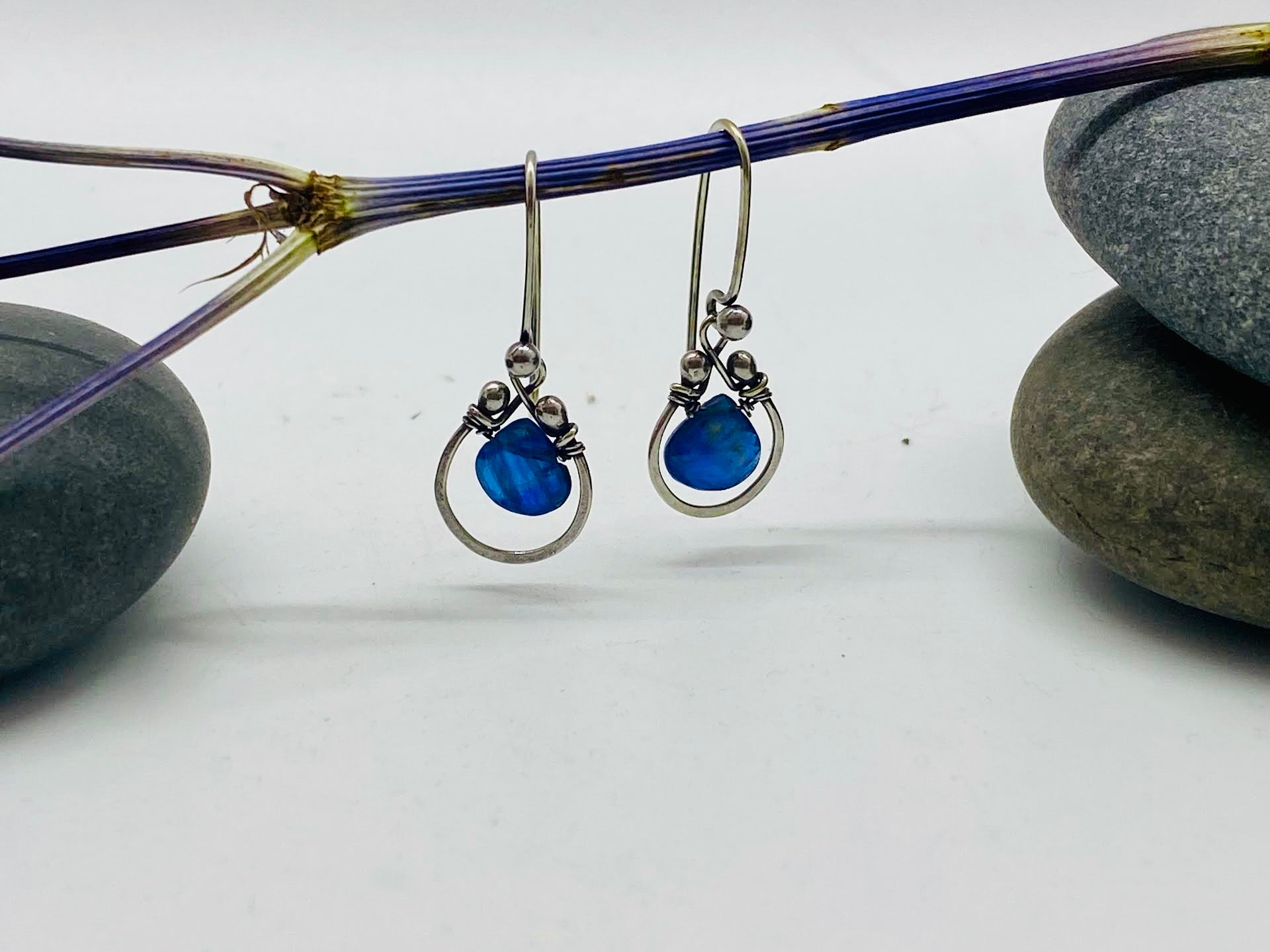 Horseshoe Earring