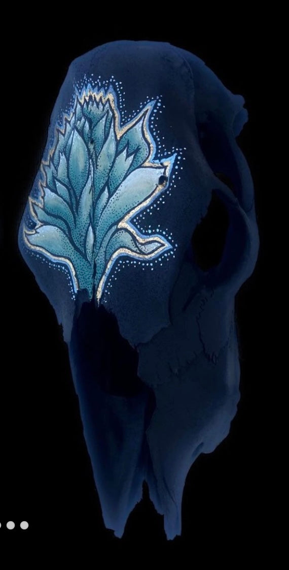 'Blue Bloom' Cow Skull 17x9"
