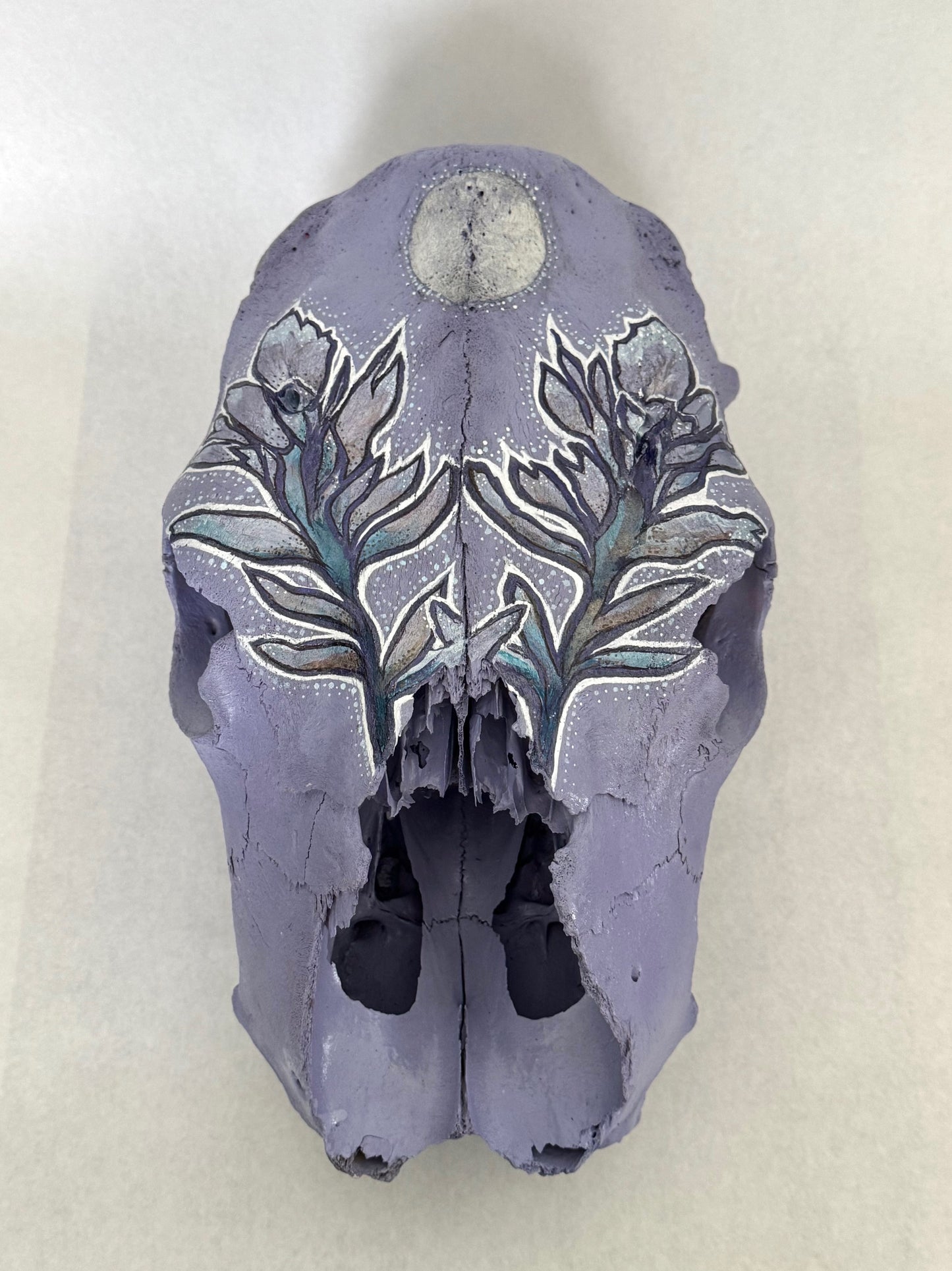 CathyB- CowSkull-  Purple Wildflowers