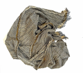 Crinkle Silk Scarf