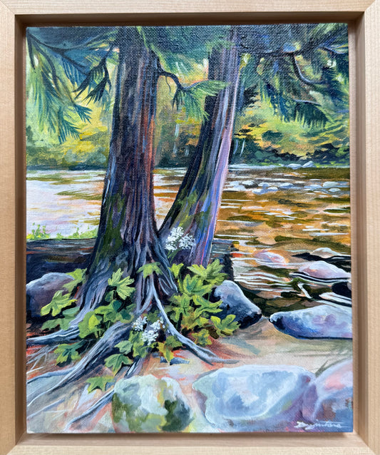 'Lochsa Cedars' Acrylic 8x10"