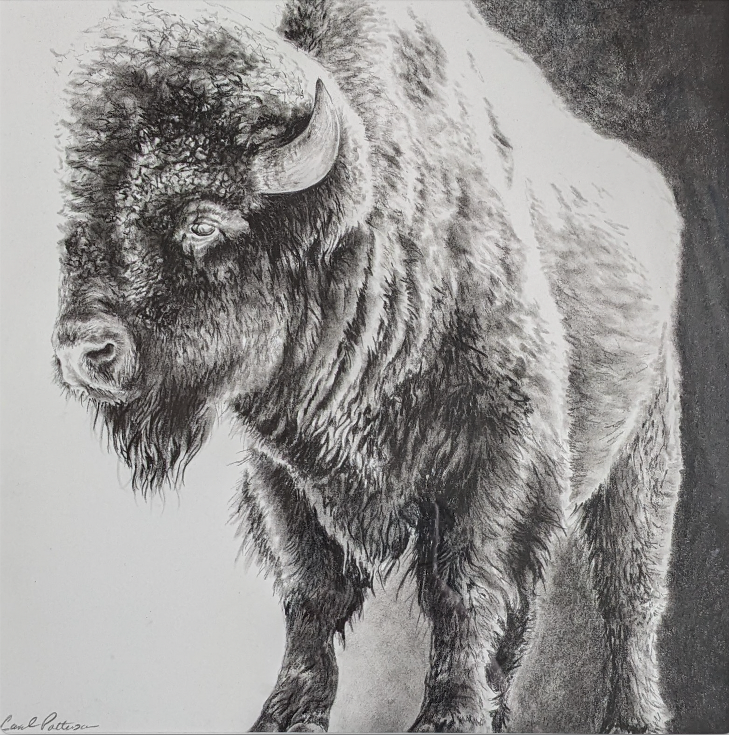 'Griz Walking in Snow' 20x10.5"