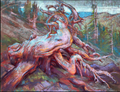 Whitebark Pine Ghost Tree