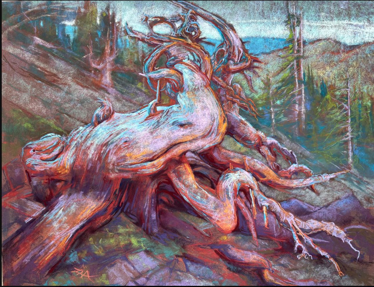 Whitebark Pine Ghost Tree