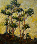 'Springtime Aspen' 20x24"