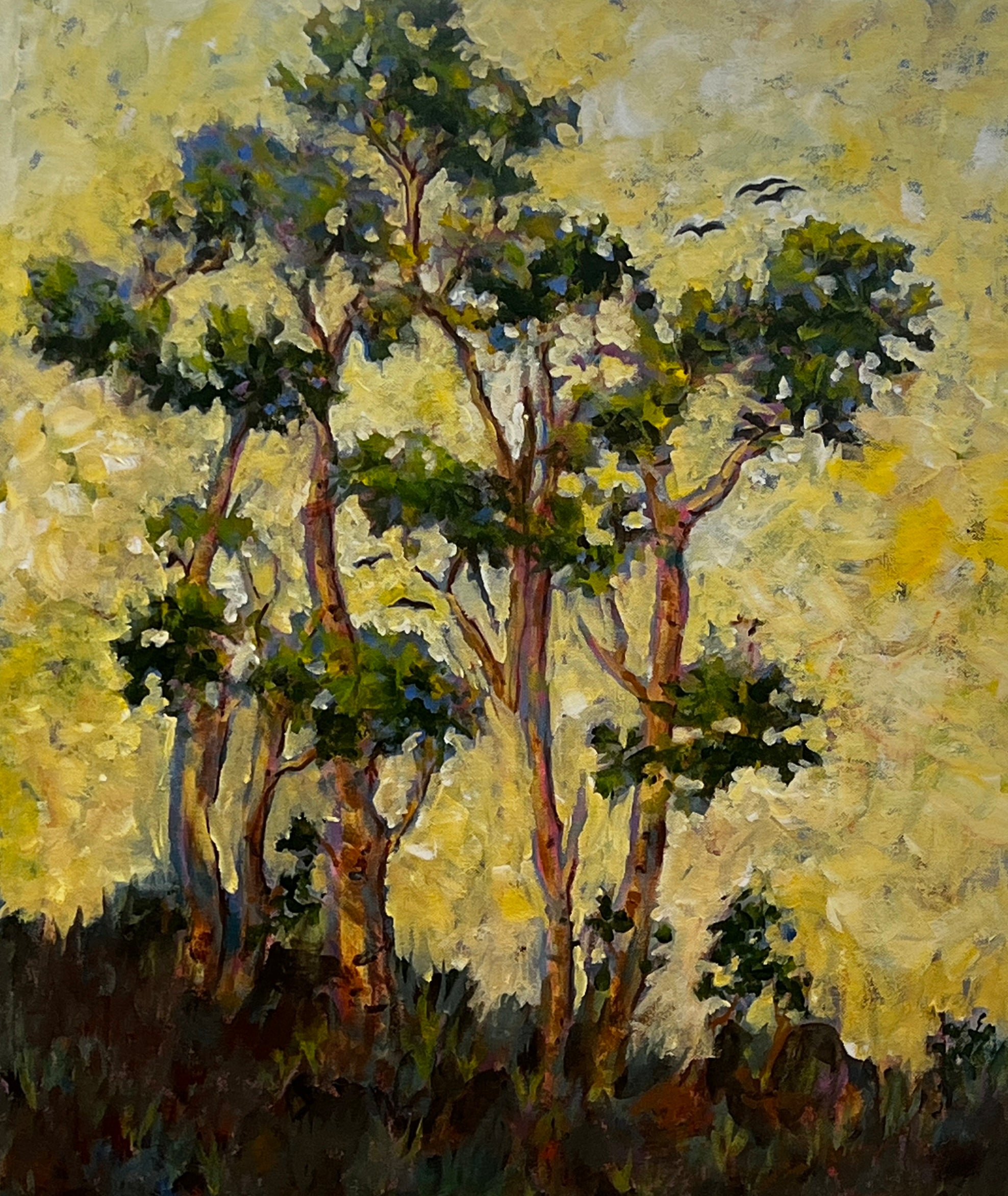 'Springtime Aspen' 20x24"