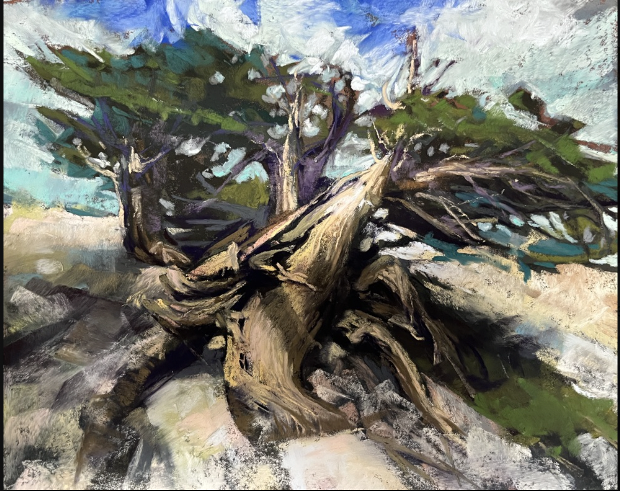 Rocky Mountain Juniper