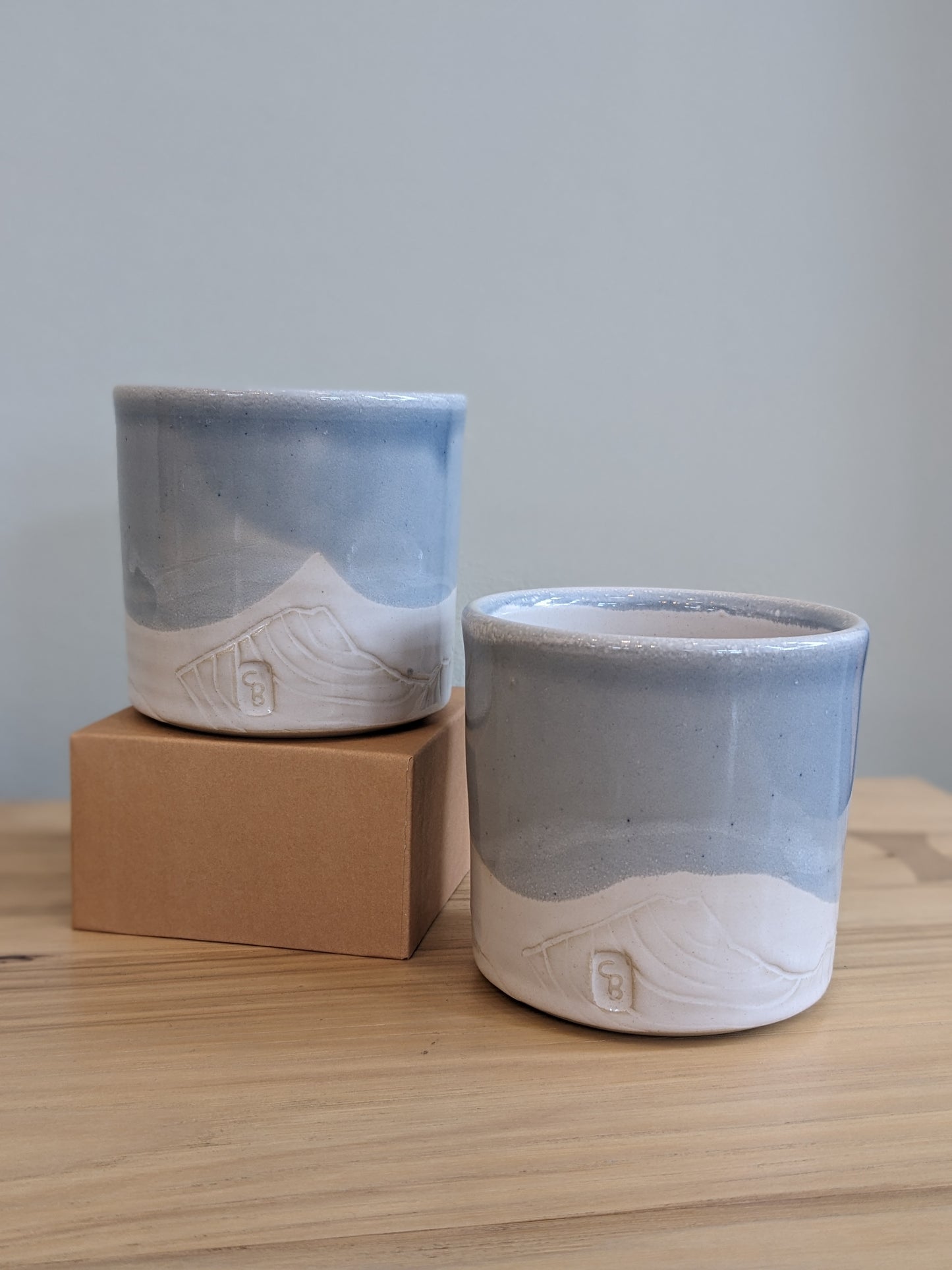 NorthRidgeC- Cup- Mountain- Topo- Assrt Color