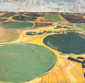 'Crop Circles' 24x24"