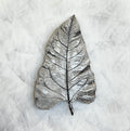 'Ethereal' 6x6x3"