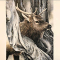 'Young Bull Elk' 14x18.5"